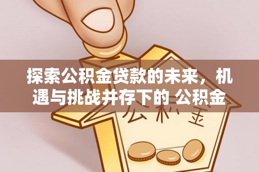 昌都探索公积金贷款的未来，机遇与挑战并存下的 公积金贷款风险防控
