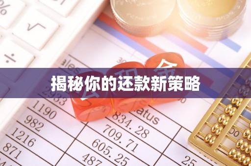 昌都揭秘你的还款新策略