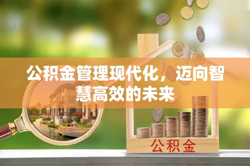 昌都公积金管理现代化，迈向智慧高效的未来