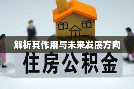 昌都解析其作用与未来发展方向